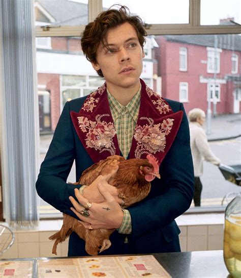 is harry styles the face of gucci